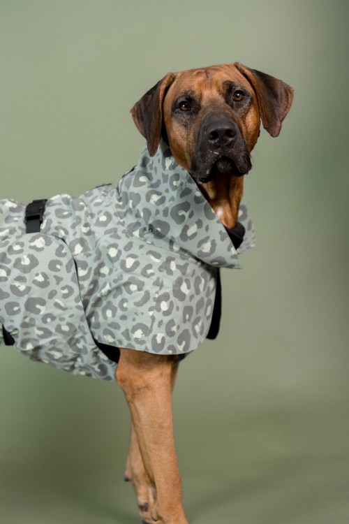 Odblaskowa kurtka zimowa PAIKKA Visibility Green Leo z tęczową poświatą, ocieplenie 3M Thinsulate, podszewka FIR do regeneracji mięśni, wodoodporność 10000 mm, z kapturem