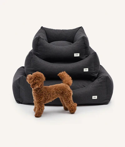 Ekologiczne legowisko CAFIDE Anthracite Black Dog Bed Snozy, z trwałej, czarnej tkaniny i wypełnieniem z recyklingowanej pianki.