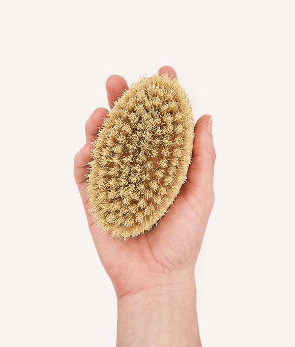 CAFIDE Short Haired Dog Brush Teo - ekologiczna, trwała szczotka z naturalnym włosiem i certyfikowanego drewna bukowego FSC, idealna do masażu i pielęgnacji krótkiej sierści psa.