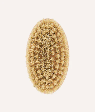 CAFIDE Short Haired Dog Brush Teo - ekologiczna, trwała szczotka z naturalnym włosiem i certyfikowanego drewna bukowego FSC, idealna do masażu i pielęgnacji krótkiej sierści psa.