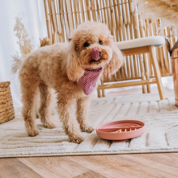 Babelle The Dreamy, okrągła mata do lizania z łukowatym wzorem, z silikonu spożywczego BPA-Free, pomaga psu redukować stres, spowalnia jedzenie i wspiera trawienie