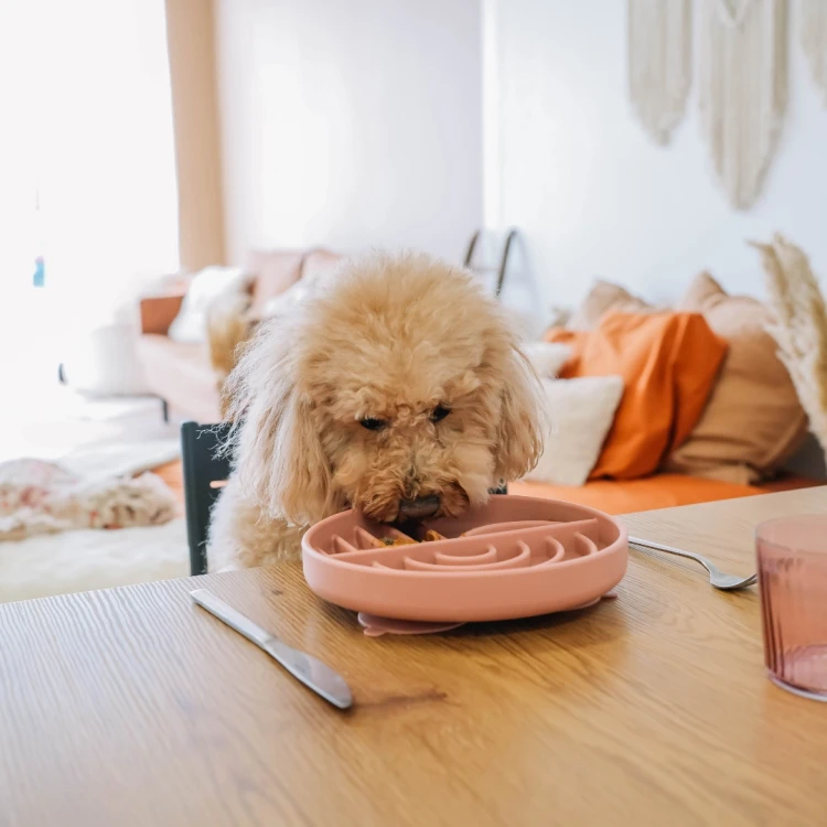 Babelle The Dreamy, okrągła mata do lizania z łukowatym wzorem, z silikonu spożywczego BPA-Free, pomaga psu redukować stres, spowalnia jedzenie i wspiera trawienie