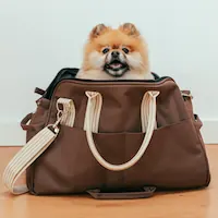 kategoria główna podróż