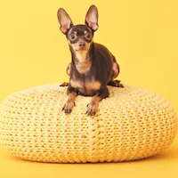 kategoria główna odpoczynek